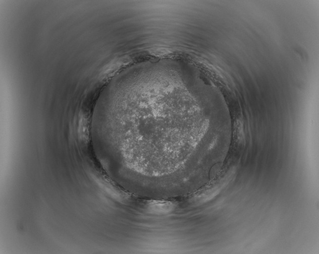 X0000112470234200908311356