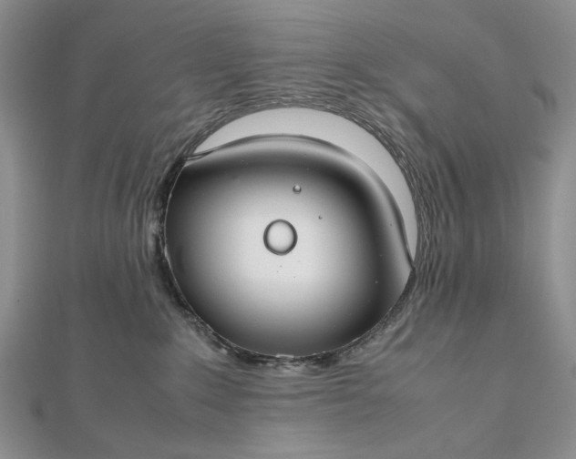 X0000112470235200908311356