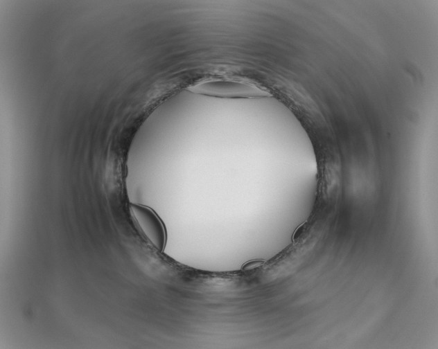 X0000112470236200908311356