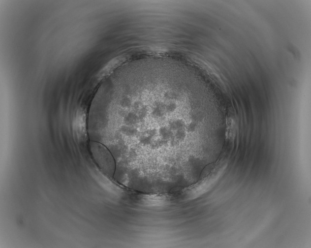 X0000112470238200908311356