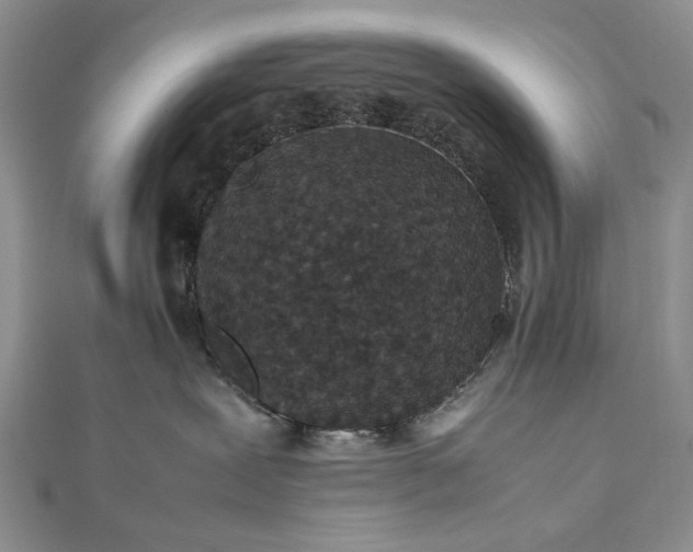 X0000112470239200908311356