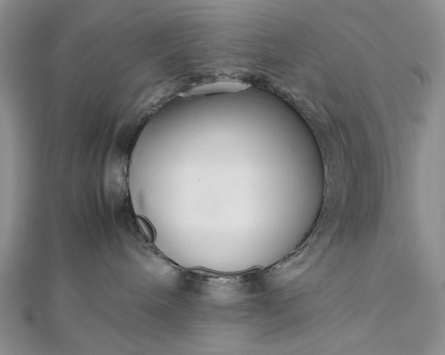 X0000112470240200908311356