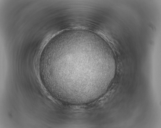 X0000112470241200908311355