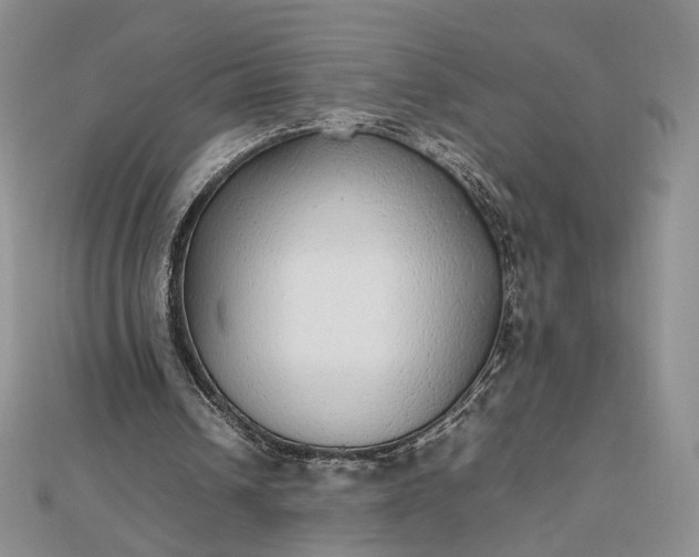 X0000112470242200908311355