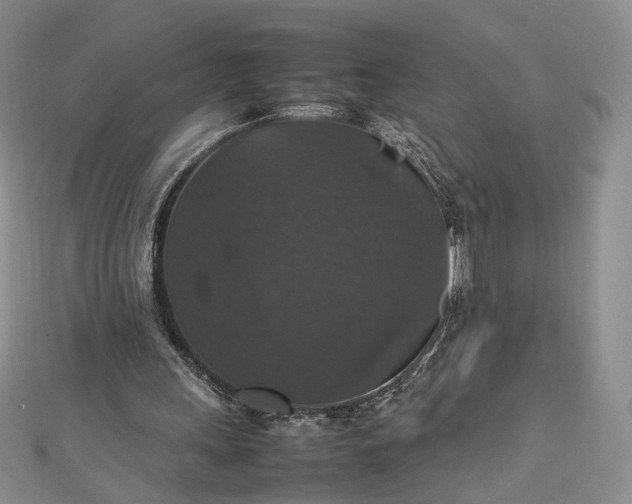 X0000112470243200908311355