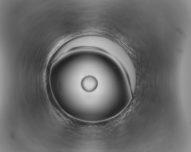 X0000112470244200908311355