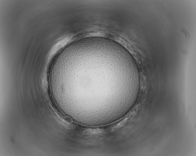 X0000112470245200908311355