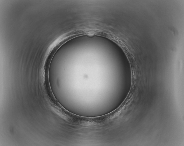 X0000112470246200908311355