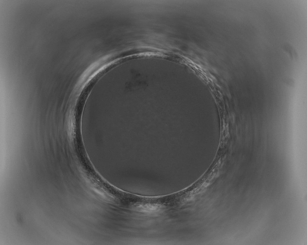 X0000112470247200908311355