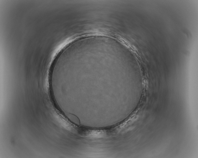 X0000112470248200908311355