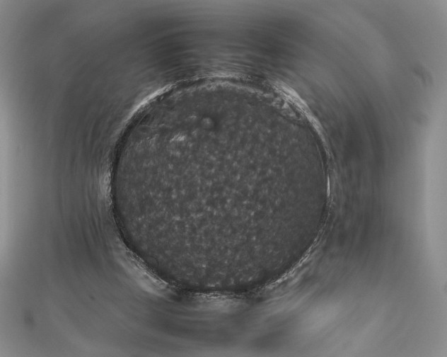 X0000112470249200908311355