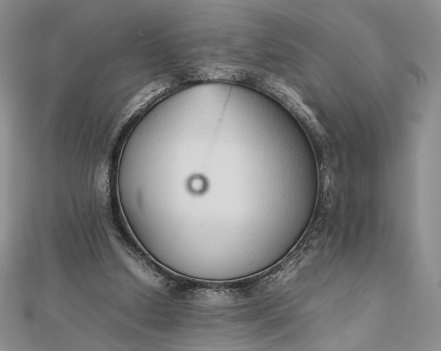 X0000112470250200908311355