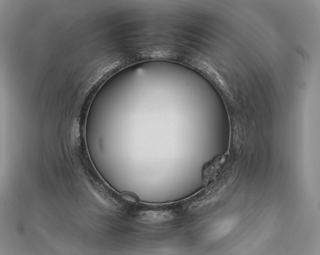 X0000112470251200908311355