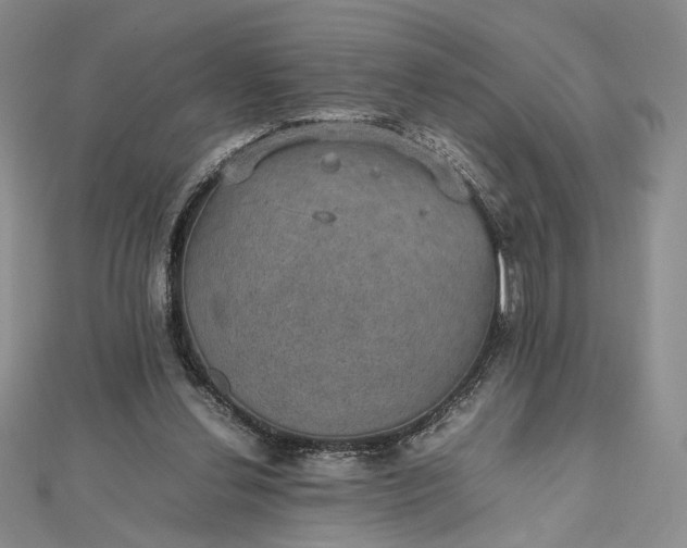 X0000112470252200908311355