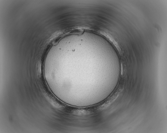 X0000112470253200908311355