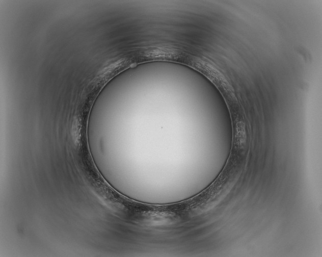 X0000112470255200908311355