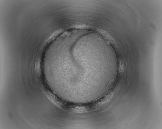 X0000112470256200908311355