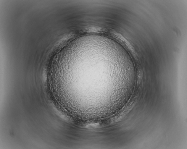 X0000112470257200908311355