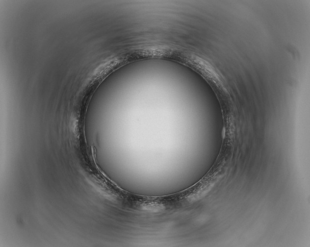 X0000112470258200908311355