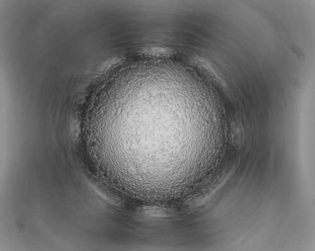 X0000112470259200908311355