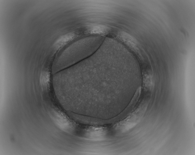 X0000112470260200908311355