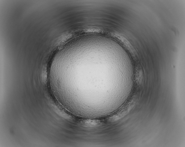 X0000112470261200908311356