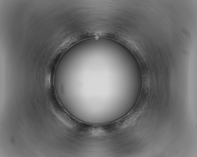 X0000112470262200908311356