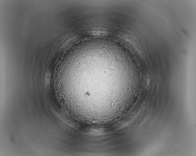 X0000112470263200908311356