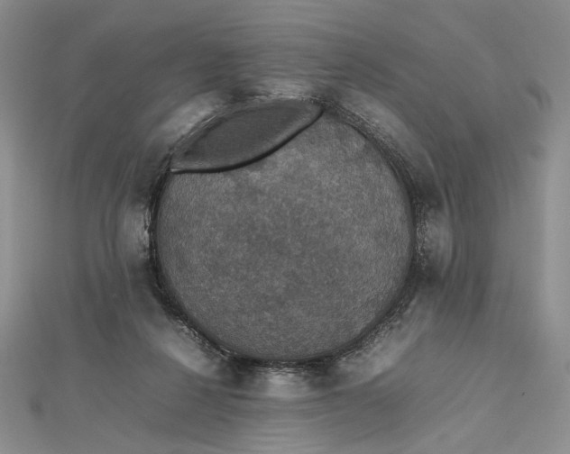 X0000112470264200908311356