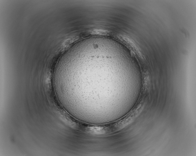 X0000112470265200908311356