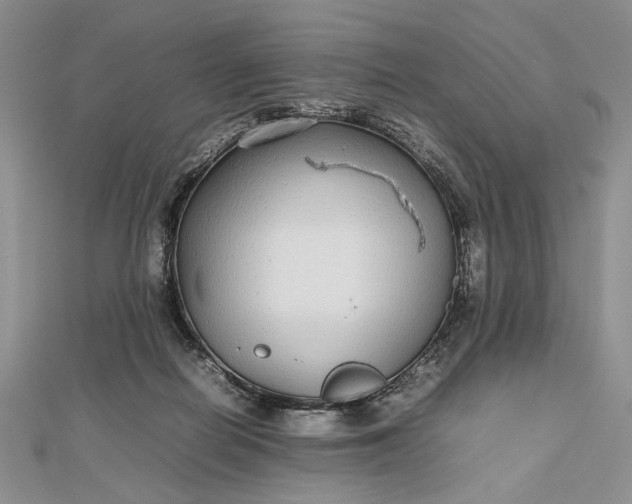 X0000112470266200908311356