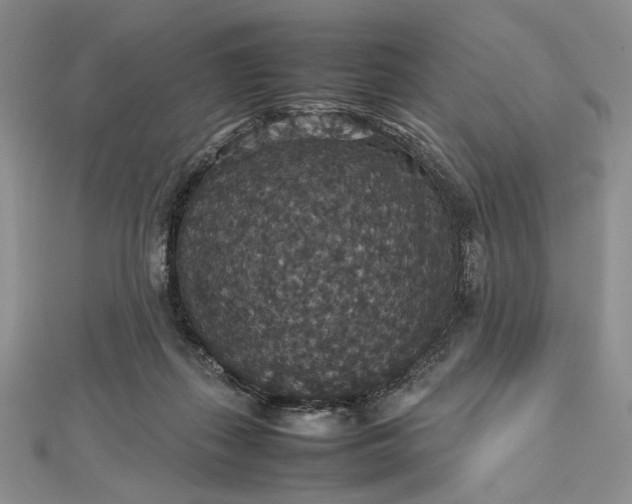 X0000112470267200908311356