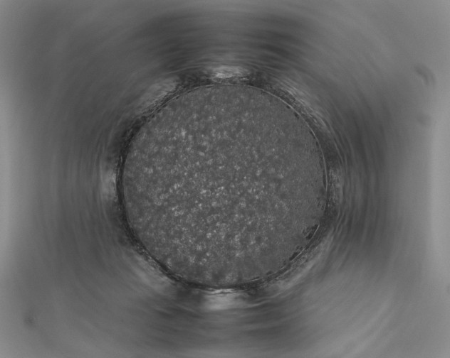 X0000112470269200908311356