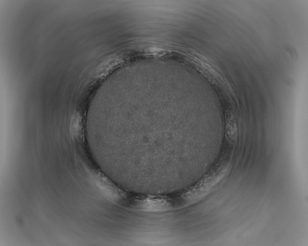 X0000112470270200908311356