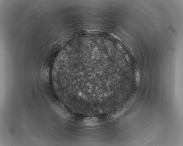 X0000112470271200908311356