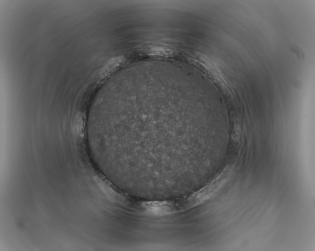 X0000112470273200908311356