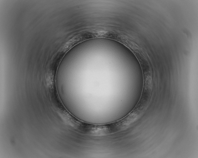 X0000112470274200908311356