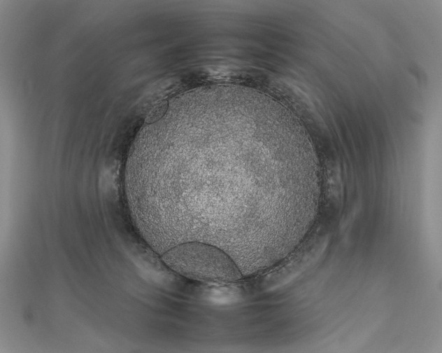 X0000112470275200908311356