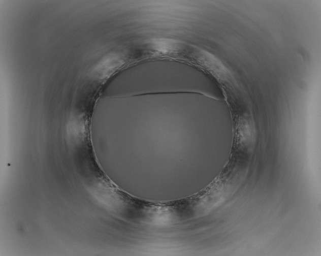 X0000112470276200908311356