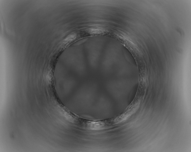 X0000112470277200908311356