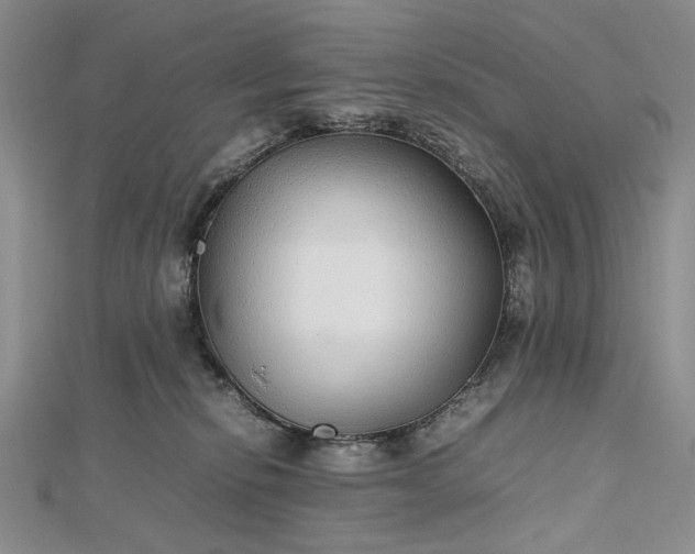 X0000112470278200908311356