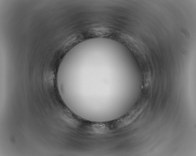 X0000112470279200908311356