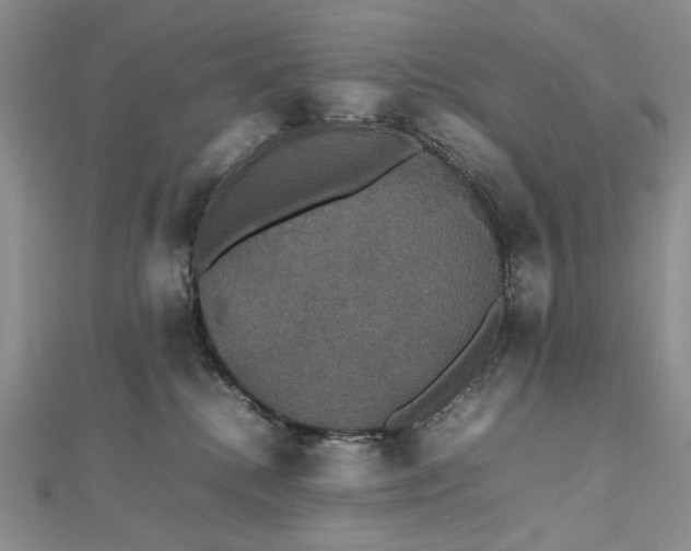 X0000112470280200908311356