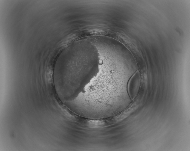 X0000112470281200908311356