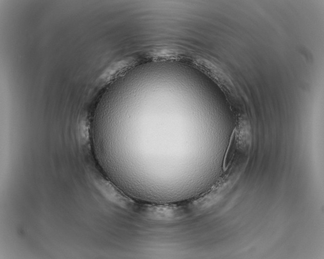 X0000112470282200908311356