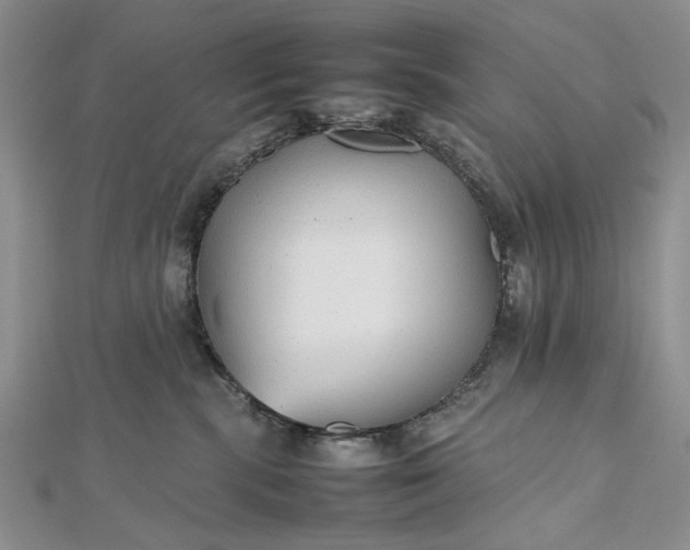 X0000112470283200908311356