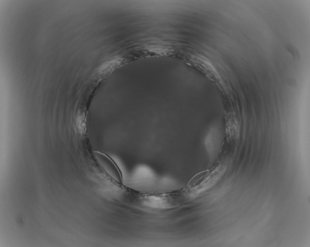 X0000112470285200908311356