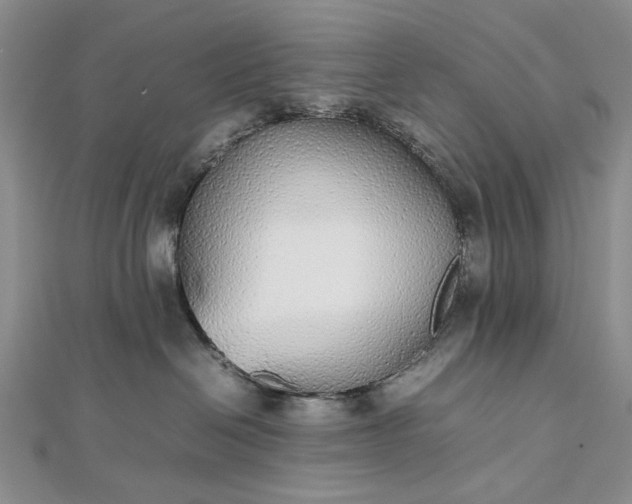 X0000112470286200908311356