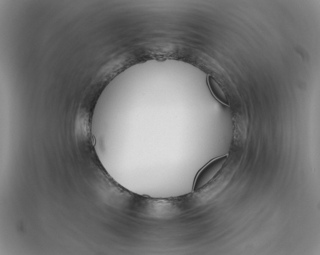 X0000112470287200908311356