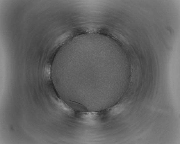 X0000112470288200908311356